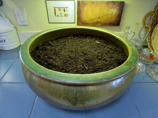 fairy garden container