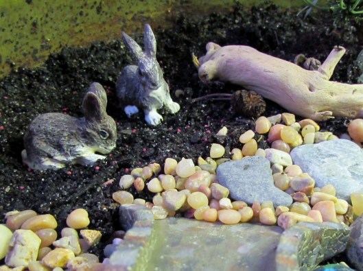 rabbits in the fairy garden
