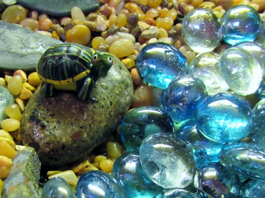 turtle in fairy garden