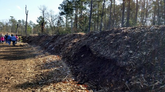 This is a border burm that is also breaking down and will be used up and replaced. 