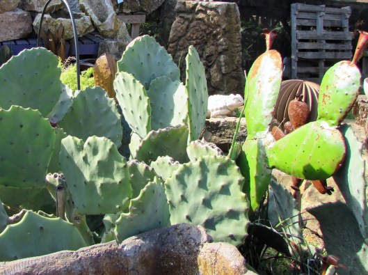 I found this an amusing shot!