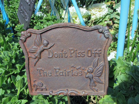 IMG_6542I was amused by the little signs! This one to the left I found insightful!