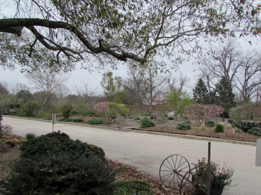 Looking out from the covered seating area towards more demonstration gardens. 