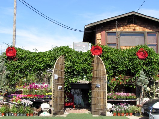 Doors and annuals welcoming you to the design office.