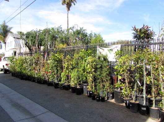 Space is at a premium and they put the alley that runs down the middle of the nursery to good use. 