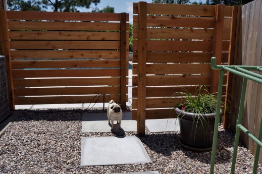 Cedar Screen to hide pool equipment 