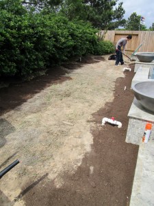 Landscaping around a pool