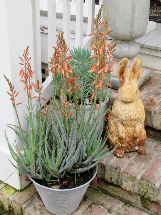 Greetings from our iron Bunny. 