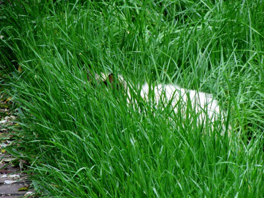 You don't seem me do you?