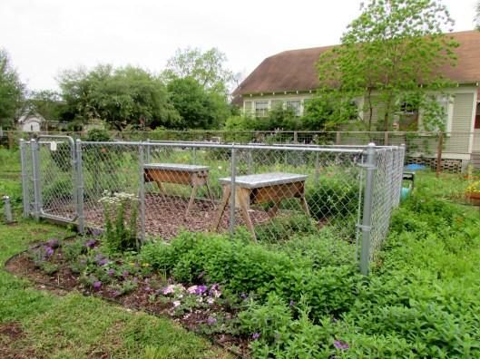 A top-bar hive is a single-story frameless beehive in which the comb hangs from removable bars.