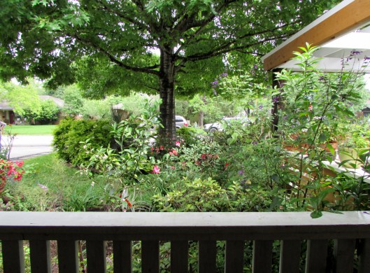 Jeff River Law garden Houston Texas