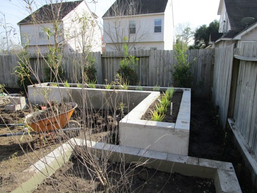 planted raised bed