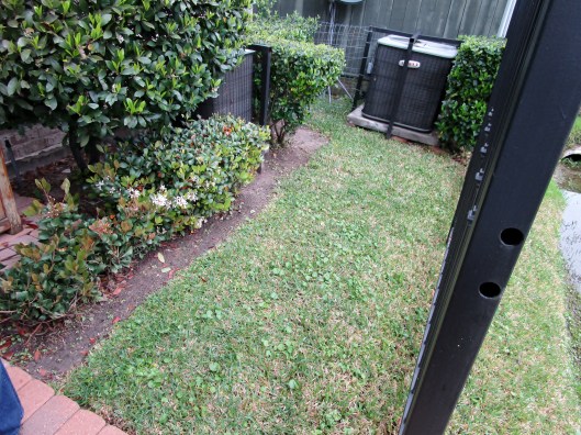 Town home courtyard install before.