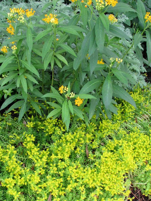 Houston Garden Conservancy tour 2015