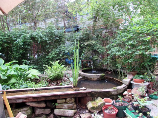 Touring gardens on Toronto Island with Garden Bloggers Fling 2015