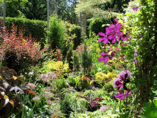 Jarvie Garden, Thornhill 