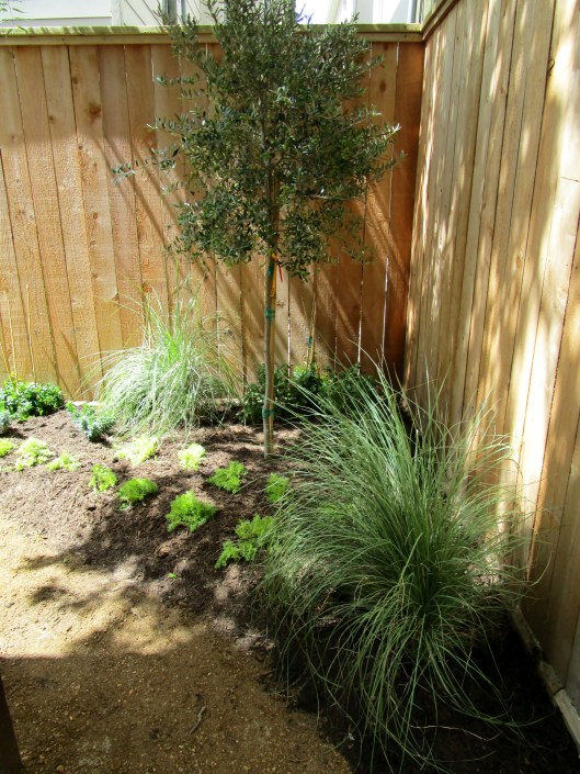 To your right if sanding on the patio.