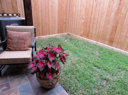 before tiny patch of grass