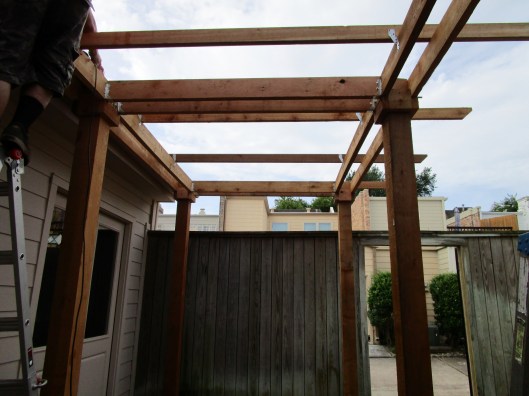 Amberly Pergola