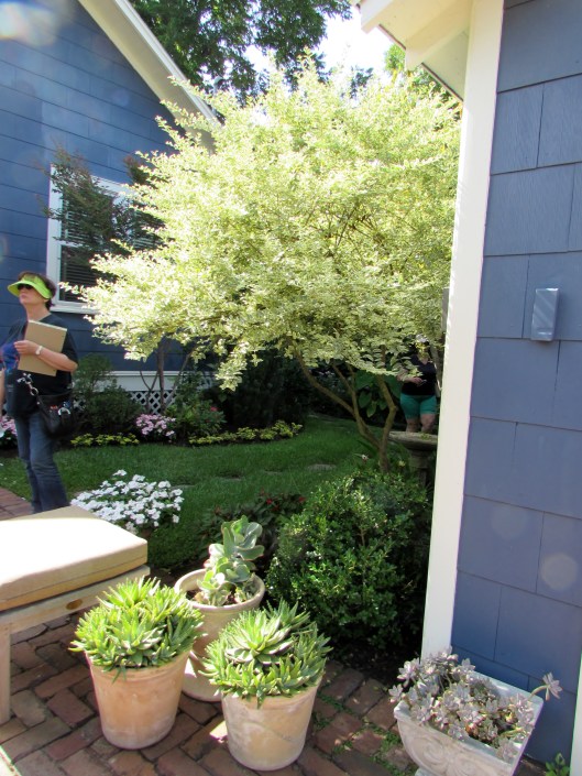 IMG_0352Heights Garden Club Tour