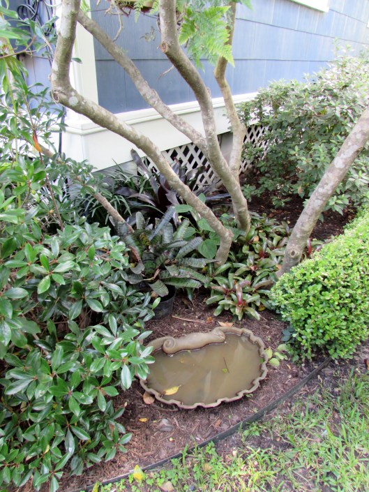 IMG_0368Heights Garden Club Tour