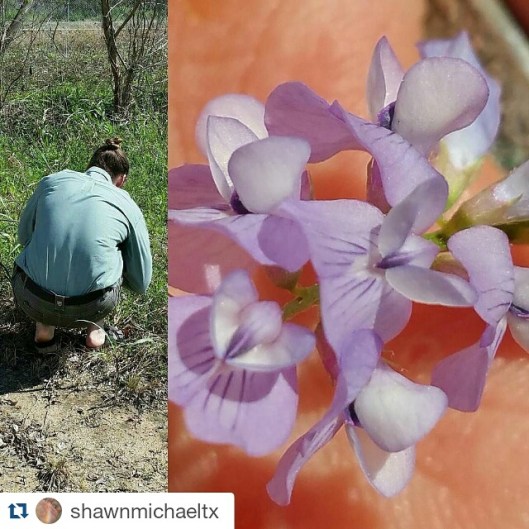 Shawn Michael of Ravenscourt Landscaping & Design LLC 