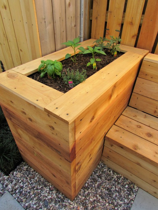 Close up of herb bed. 