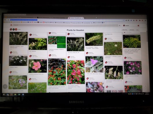 Pinterest Plants for Houston