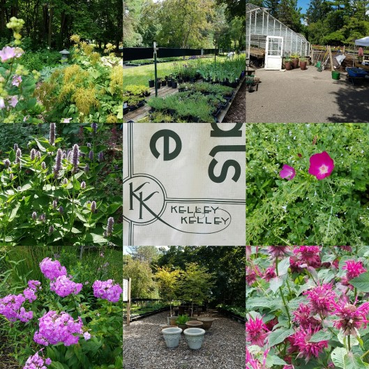 #GBFling2016 Kelley and Kelley Nursery MN