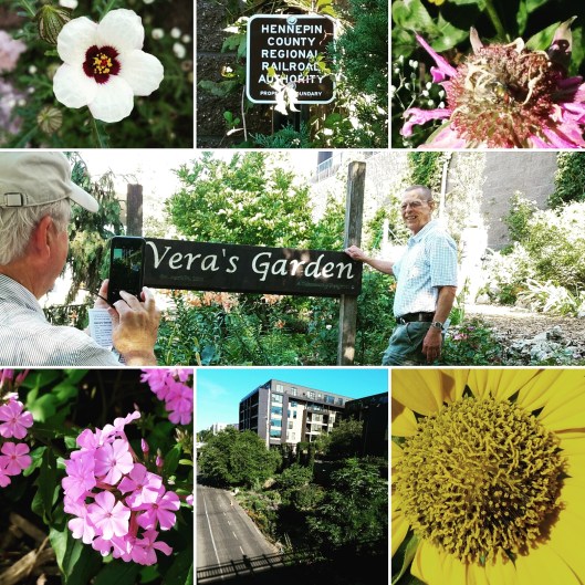 Vera’s Garden. This exceptional community garden backs up to the Midtown Greenway