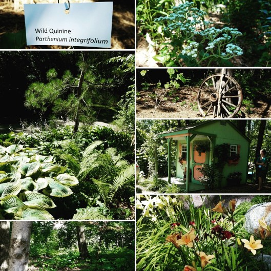 Hopkins/Minnetonka six private gardens in the western suburbs of the Twin Cities