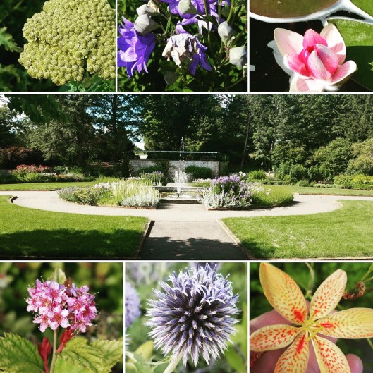 Minnesota Landscape Arboretum