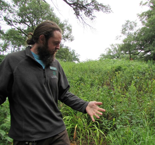 Tour guide #GBFling2016 Eloise Butler Wildflower Garden and Bird Sanctuary. 