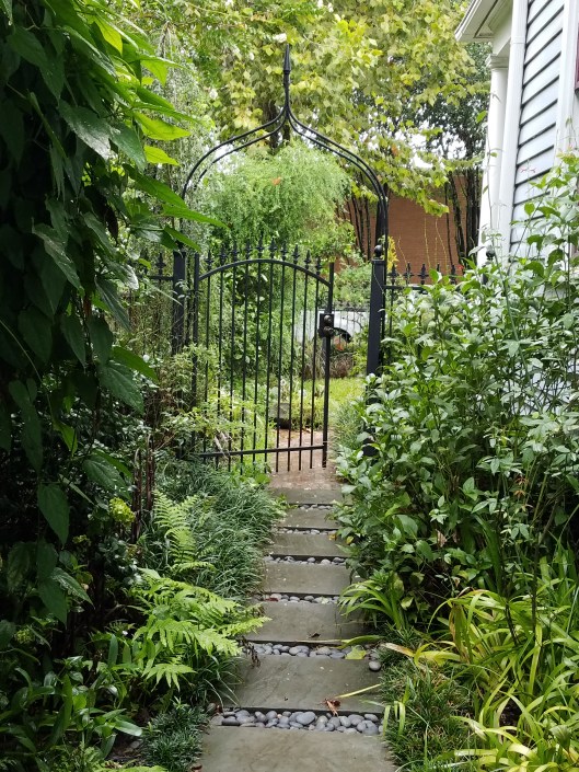 South side garden Ravenscourt Gardens