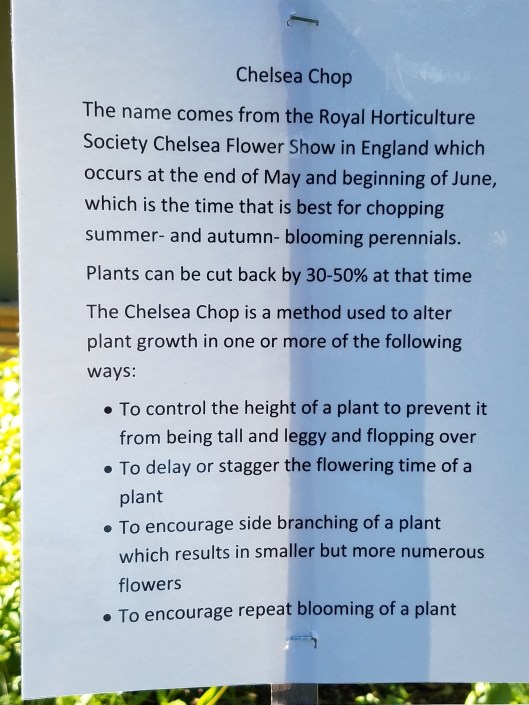 Hopkins/Minnetonka six private gardens in the western suburbs of the Twin Cities