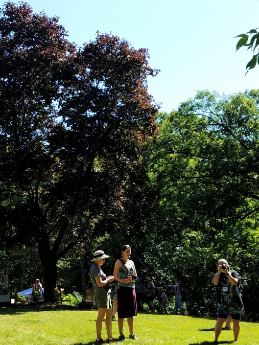 Hopkins/Minnetonka six private gardens in the western suburbs of the Twin Cities