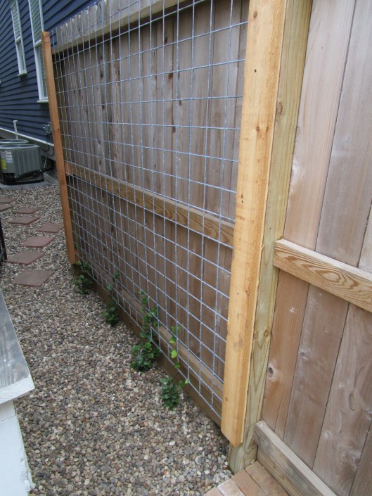 Welded wire and Star Jasmine