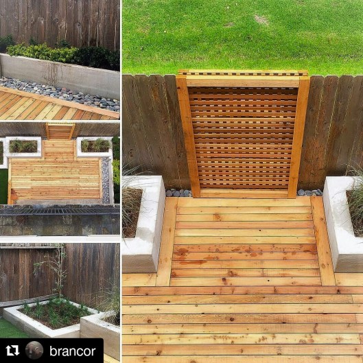 shot from above CB 2016