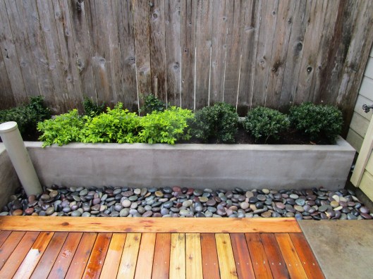 narrow raised bed CB 2016