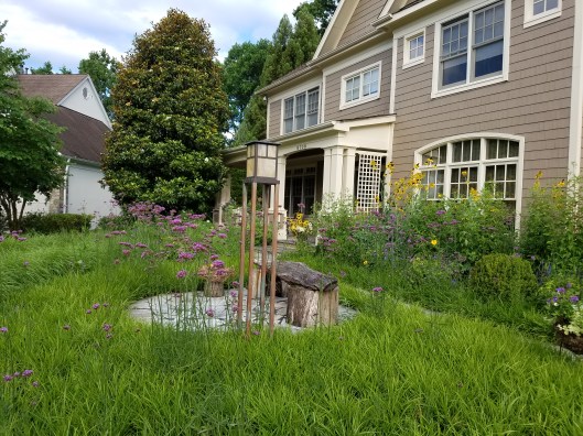 The home of Bethesda Maryland Garden designer Debbie Friedman