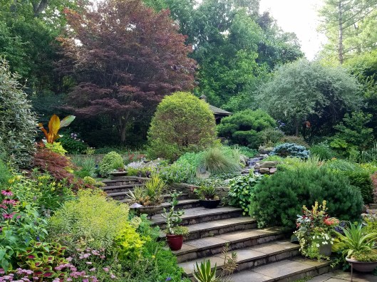 The garden of Barbara Katz owner of London Landscapes LLC