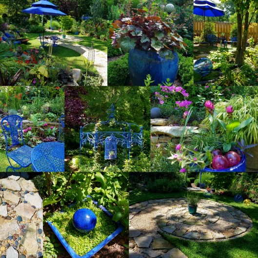 Cobalt blue and Fuschia in the garden of Linda Hostetler