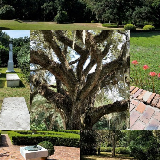 img_20161014_131920 (2)