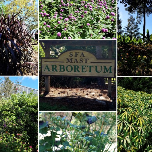 img_20181006_111101 (2)