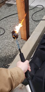 Ravenscourt Landscaping & Design LLC 2022