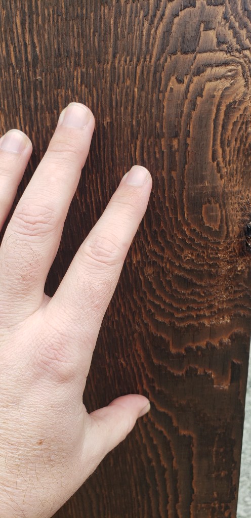 Ravenscourt Landscaping & Design 2022